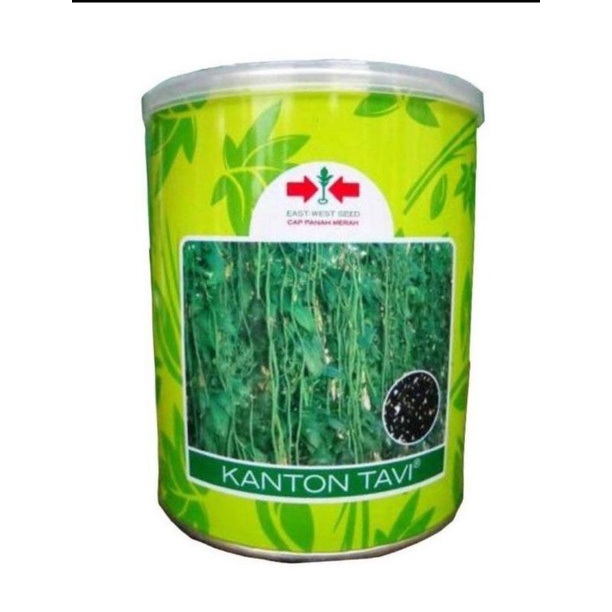 

Kacang panjang kanton tavi