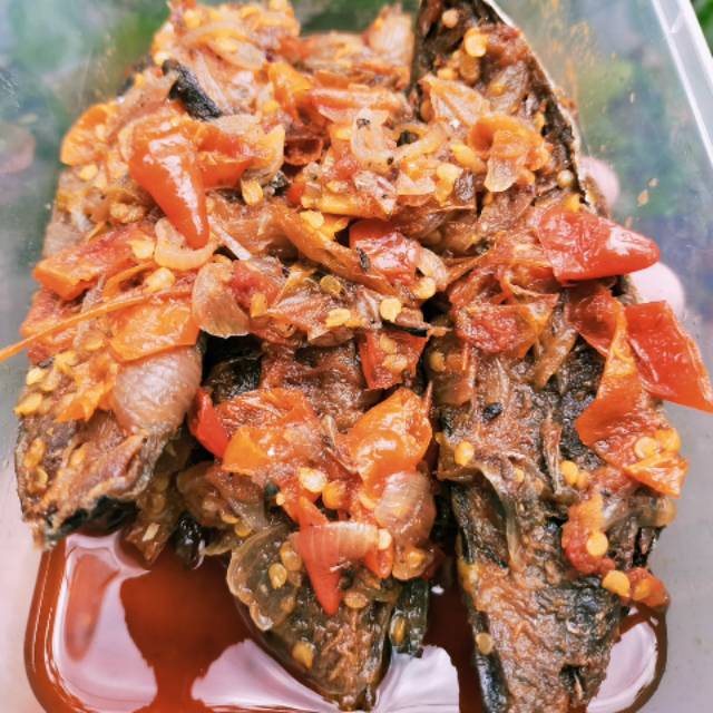 

Ikan Tongkol MERCON