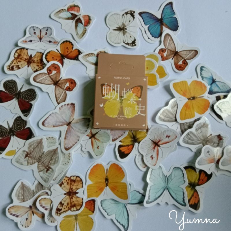 

Kupu-Kupu cute