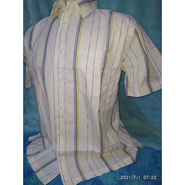 kemeja cressida putih garis kuning