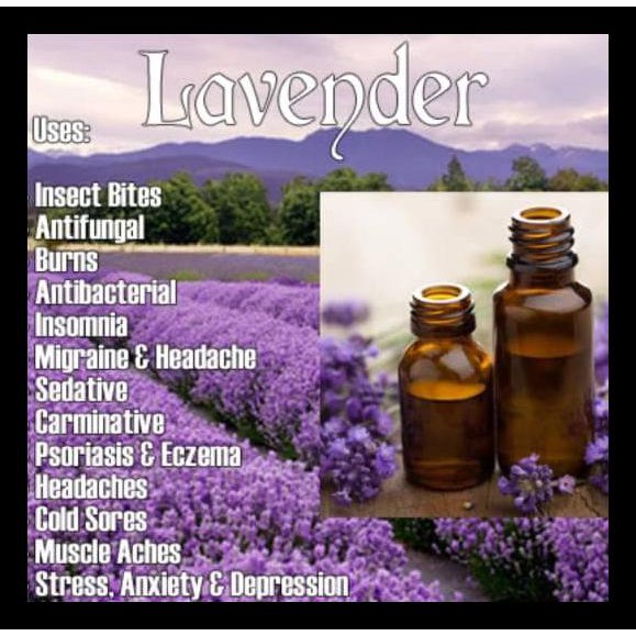 Lavender Oil/Pure Essential Oil 5 Ml TERPERCAYA