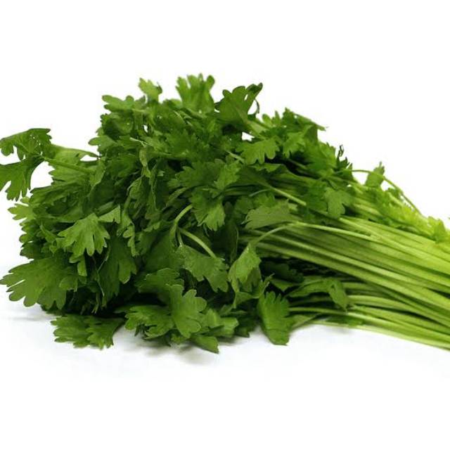 

Tokko Daun Seledri