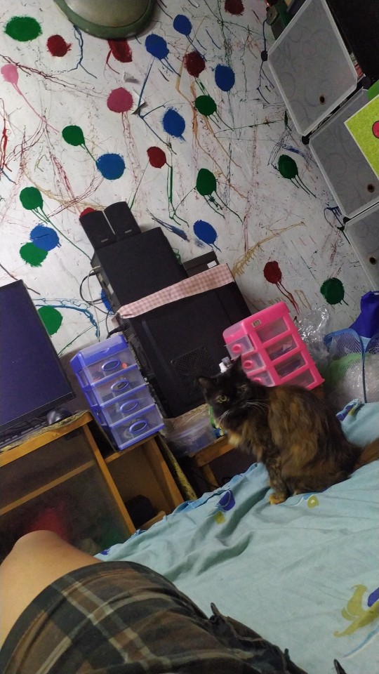 Tempat Gembok Akrilik /overpal Acrylic/