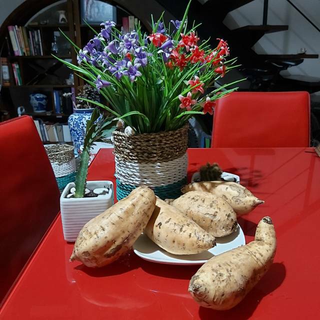 

[PROMO] UBI CILEMBU SUMEDANG