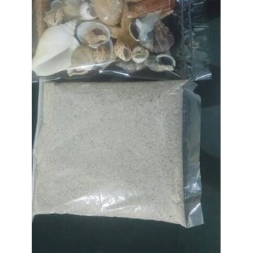 ™ Aksesoris Cangkang Kerang Dan Pasir Laut Hiasan Dan Kerajinan Tangan ✱