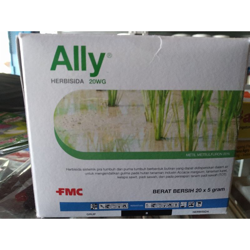 Ally20wg