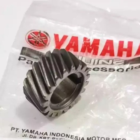 gigi primer RX king ckd