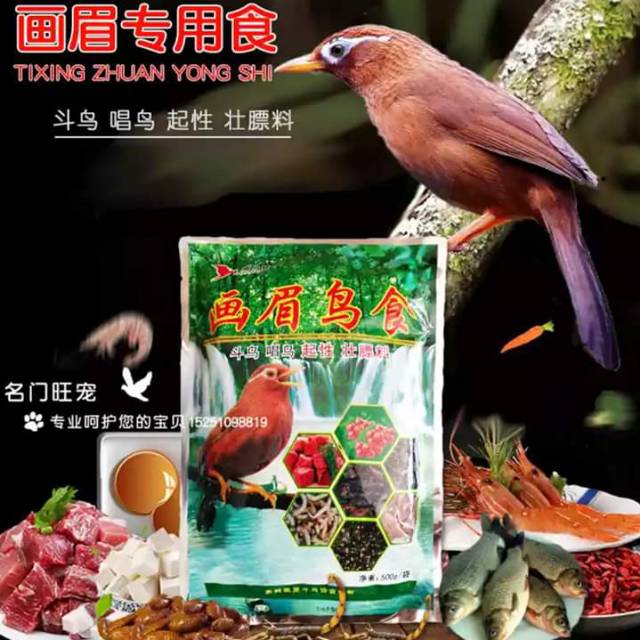 Voer Import Pakan Burung Wambi Shopee Indonesia
