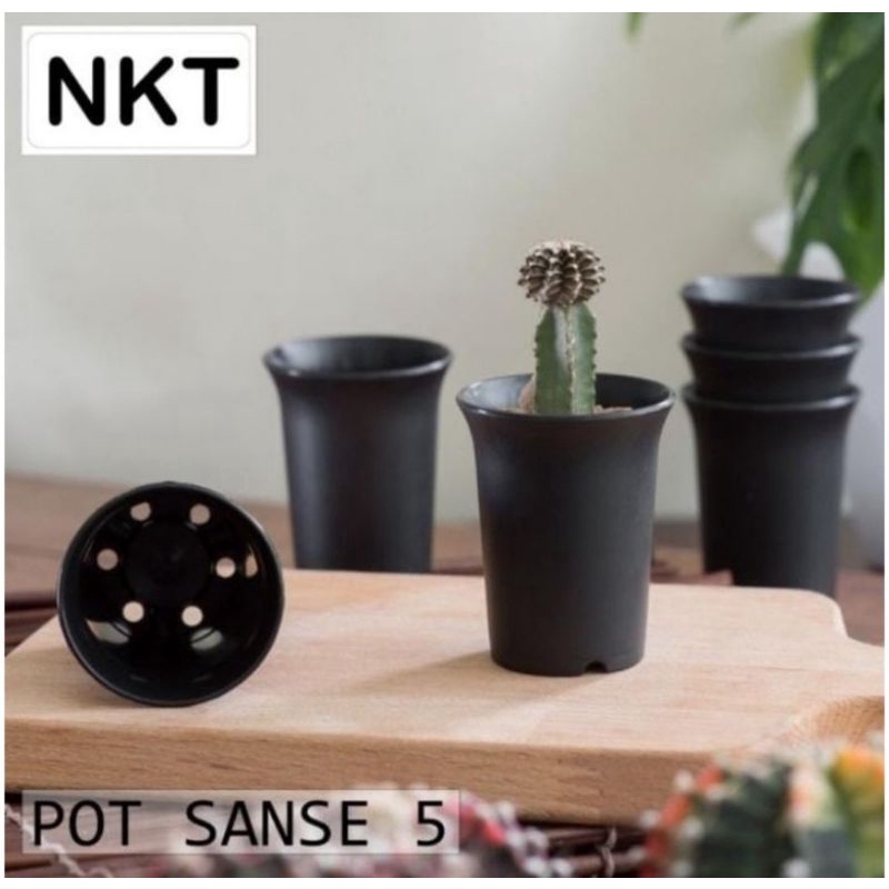 Pot bunga / Pot sanse 5 cm / Pot NKT 5 cm Bulat warna hitam / Pot Murah