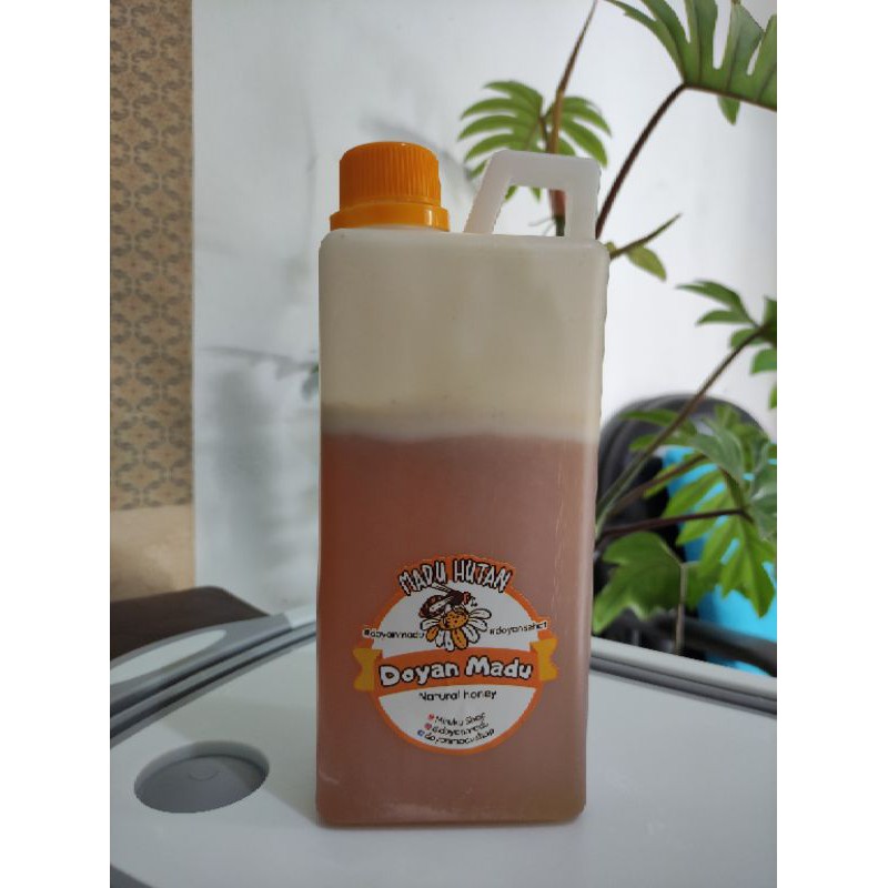 

Madu Hutan asli 1kg, madu murni, honey, madu hutan, madu asli, madu 1kg, @doyanmadu