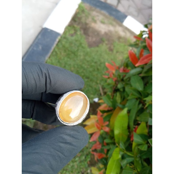 natural Anggur giwang