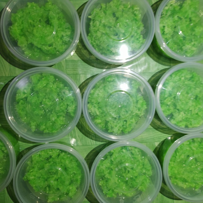 

KETAN-BERAS- TAPE KETAN HIJAU PANDAN -BERAS-KETAN.