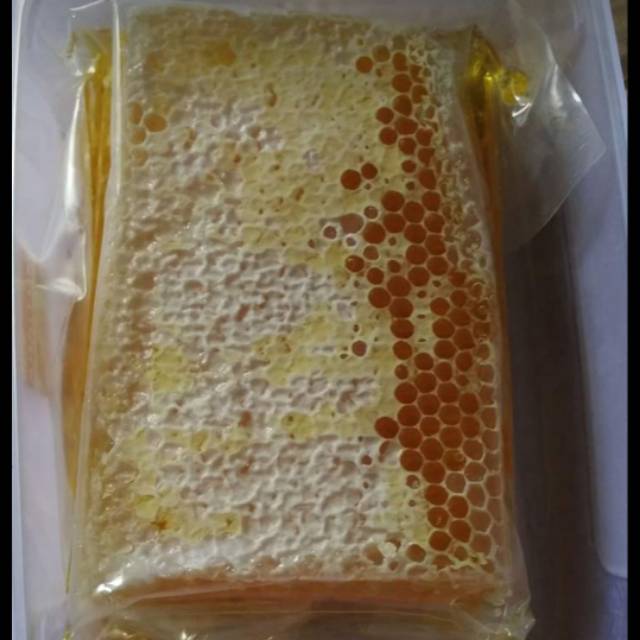 

Madu sarang melifera 500gr