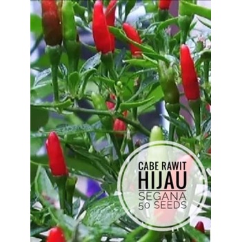 Cabe Rawit Hijau Lokal Segana 50 Biji (Benih Bibit Biji Tanaman Sayur Sayuran)