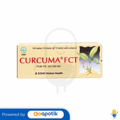 Curcuma Fct Box 100 Tablet