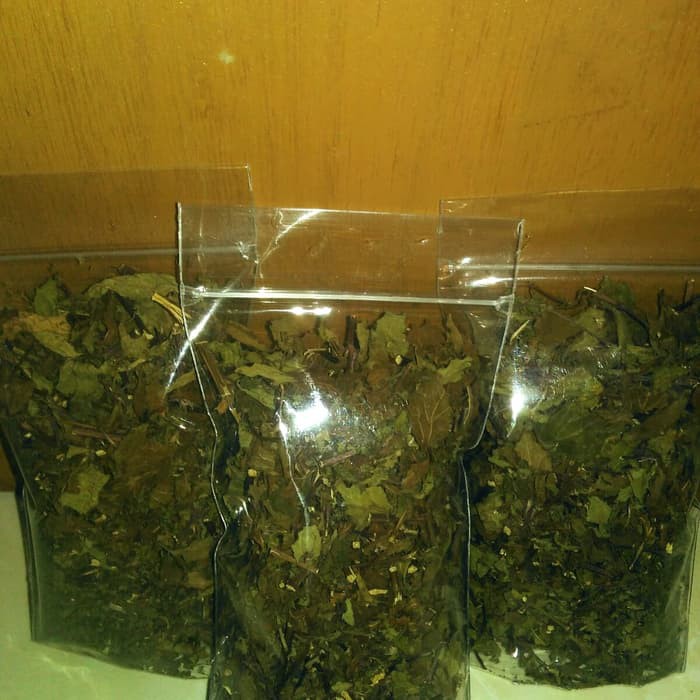 barang asli  Teh Daun Kumis kucing / Kumis Kucing Kering herbal