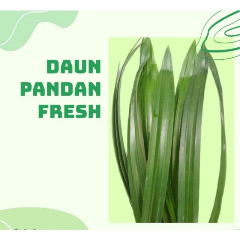 

DAUN Pandan Segar Perikat