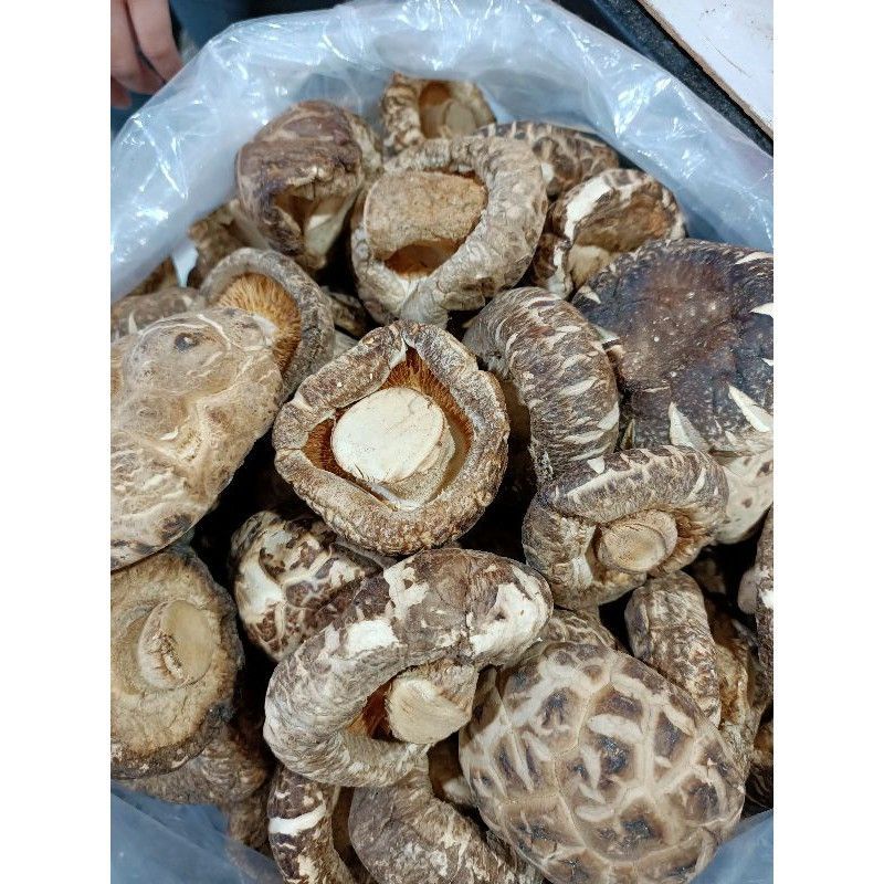 

Shanyuan Shitake mushroom jamur wangi