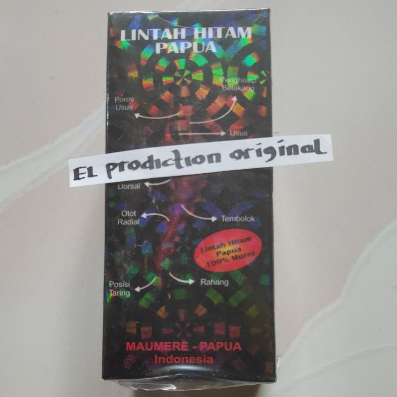 lintah hitam Papua 100% asli original