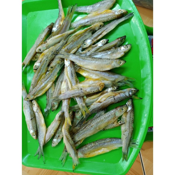 

ikan asin saluang 500gr