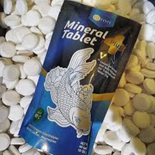 Mineral Tablet Plus Vitamin C Garam Garem Ikan 40 tablet