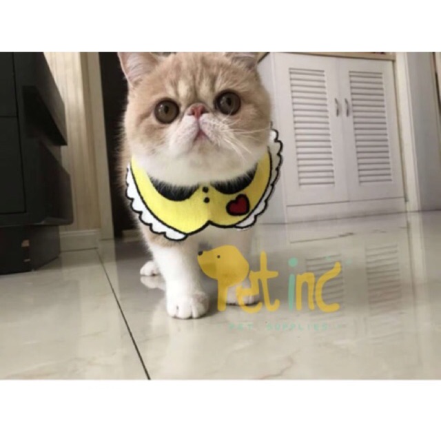 Pet 3D Donna bib