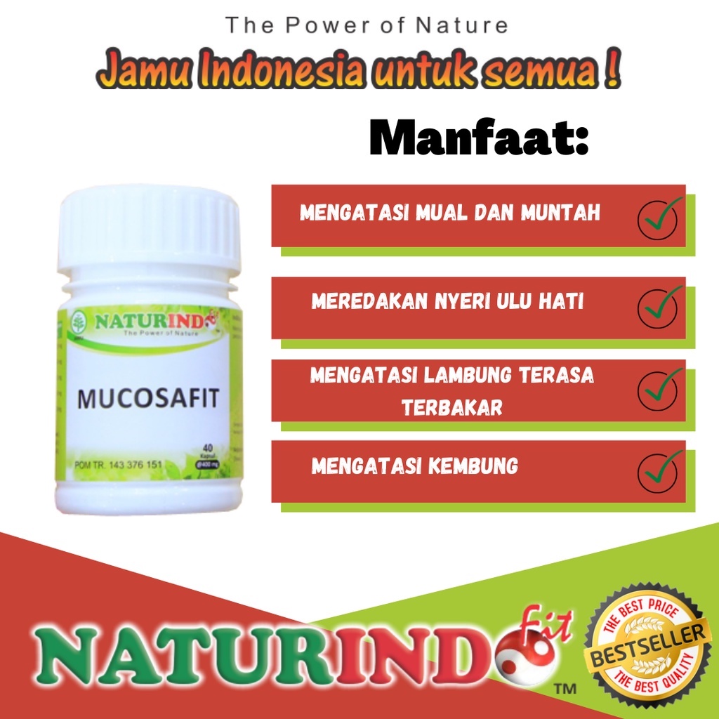 Obat Maag Mual Muntah Lambung Seperti Terbakar Gerd Tukak Lambung Asam Lambung Kronis Herbal Ampuh Mucosafit Bpom-1