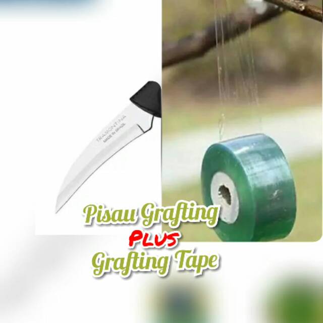 pisau okulasi /grafting impor original plus grafting tape untuk sambung tunas tanaman