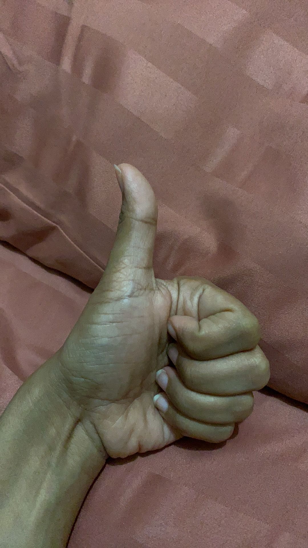 Teko Set Motif Rainbow / 1 Teko + Tutup / 4 Cangkir Teh + 4 Saucer