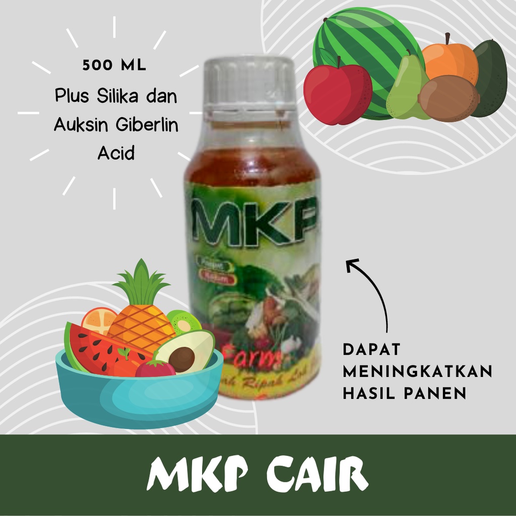Pupuk MKP Cair MKP Cair Plus Silika dan Auksin Giberlin Acid Pupuk Mkp Buah 500 ML