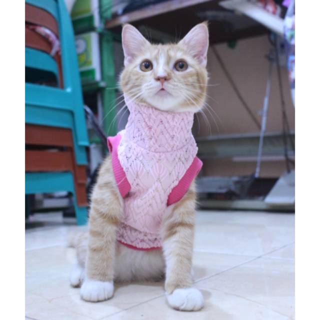 Baju rajut ala korea warna pink untuk kucing dan anjing / baju kucing murah size S M L XL