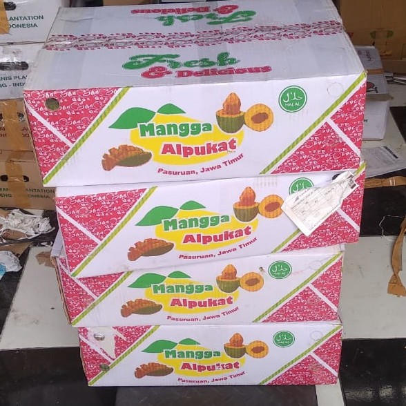  HARGA  GROSIR MANGGA ALPUKAT SATU  BOX 10 KG  Shopee 