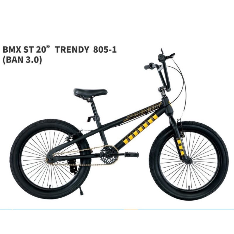 SEPEDA ANAK BMX TRENDYII UKURAN 20 INCH BAN JUMBO BESAR 3.0