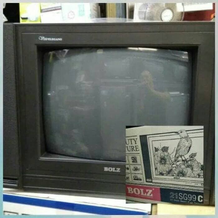 tv tabung 21 in bolz