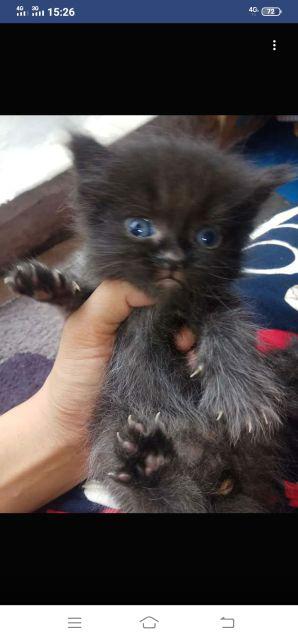 Masker Scuba Anti Debu Fashion Bahan Tebal Ready Stock