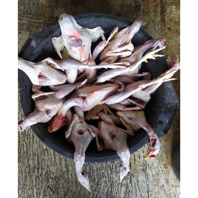 

Ayam Kampung Fresh Segar bukan beku berat bersih 1kg - 1,5kg (karkas)