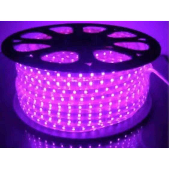 LAMPU LED STRIP SELANG 5050 SMD AC 220V (1M-100M)OUTDOOR AND INDOOR