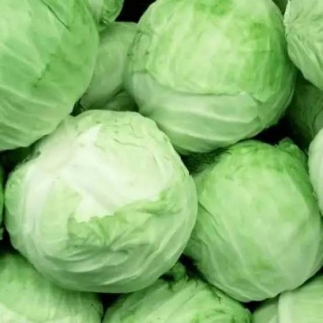 

Kol Fresh 1 kg