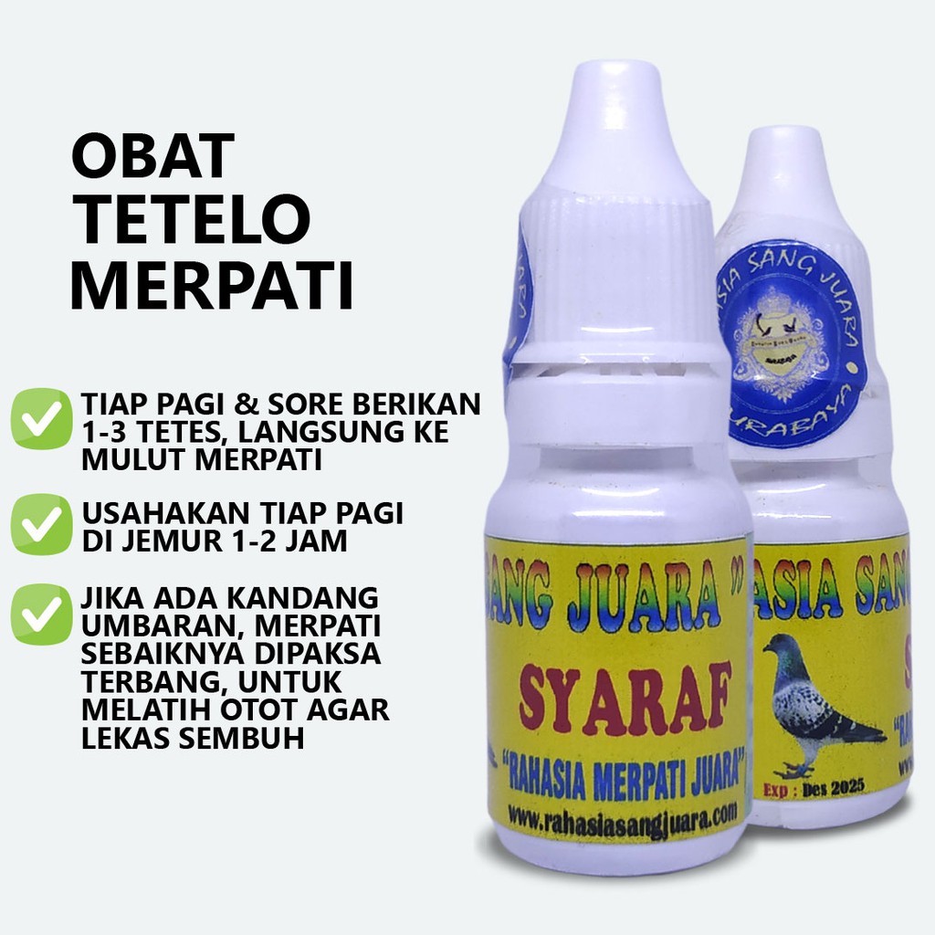 OBAT TETELO MERPATI SAYAP TURUN KAKI LUMPUH PADA BURUNG MERPATI DAN GANGGUAN SYARAF LAINNYA