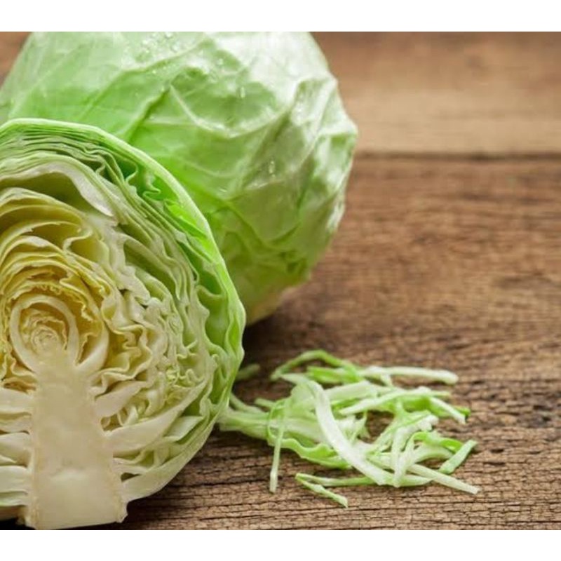 

Sayur kol segar surga kebutuhan ku fresh cabbage vegetables
