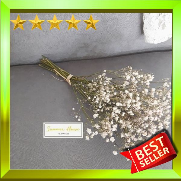 Promo 2019 Dried Baby's Breath | Bunga Baby's Breath Kering | Natural