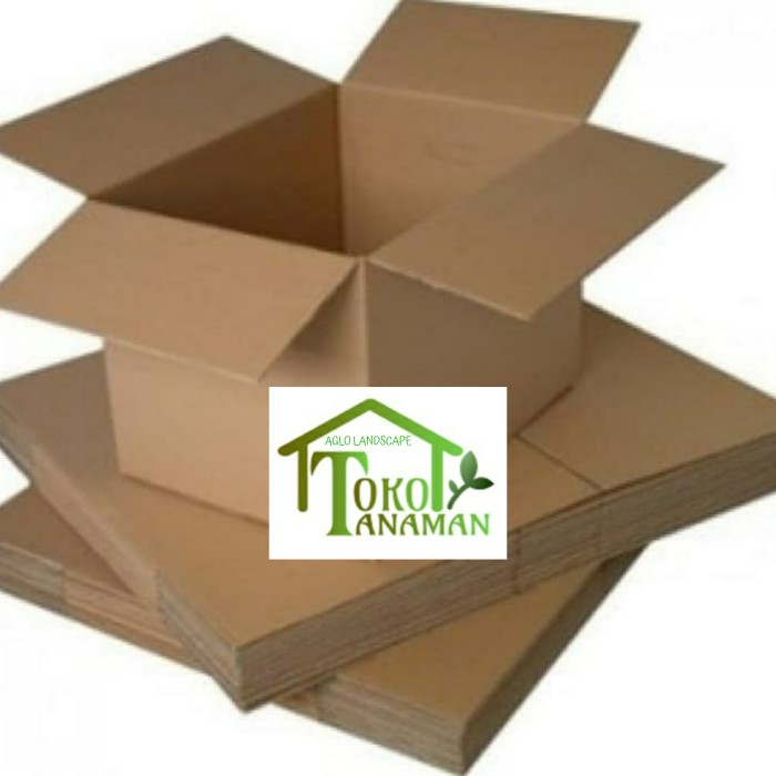 

Dus tambahan agar paket anda aman sanpay tujuan