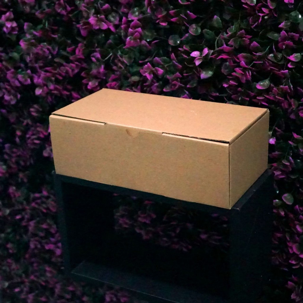 

(Bekasi) Kotak Packaging Polos Tinggi 12 x 25 x 8 cm - Pizza Box - Persegi Panjang