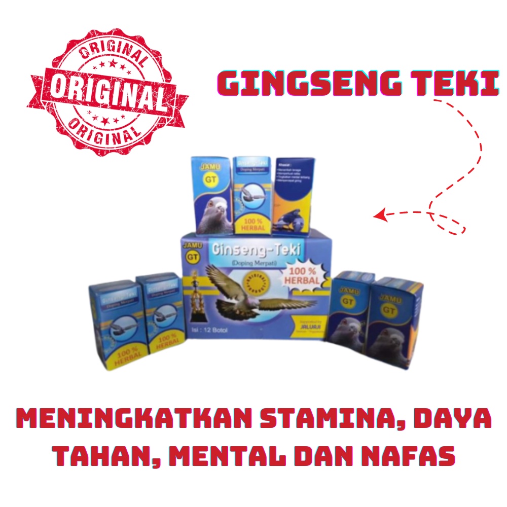 JALU AJI MERPATI GINGSENG TEKI - tenaga naik