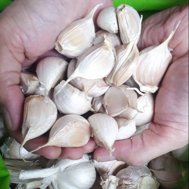 

BAWANG PUTIH KATING