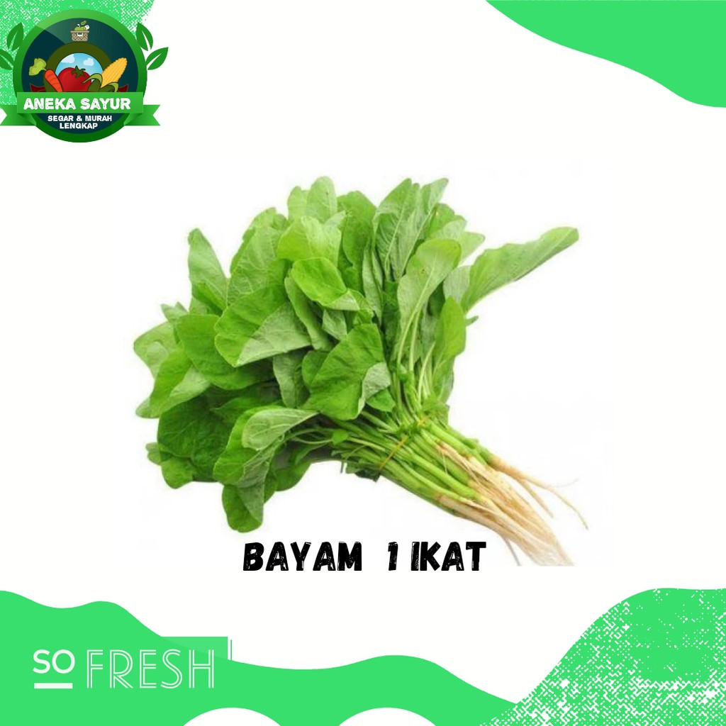 

Bayam Segar