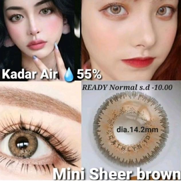 SOFTLENS MINI SHEER BROWN GRAY GREY SOFT LENS MINUS MURAH - M.SHEER BROWN, MINUS