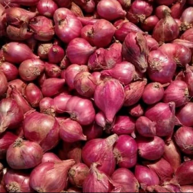 

BAWANG MERAH BREBES MURAH 1 KG