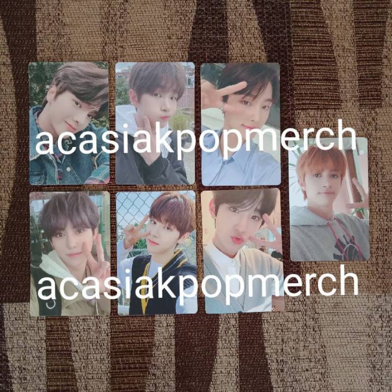 [READY STOK] EVERLINE BENEFIT OFFICIAL DRIPPIN BOYAGER