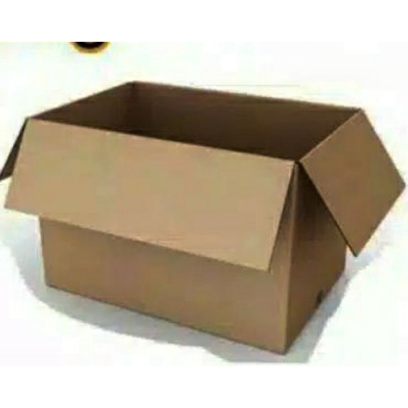 Bubble wrap + kardus/ packing tambahan-kardus